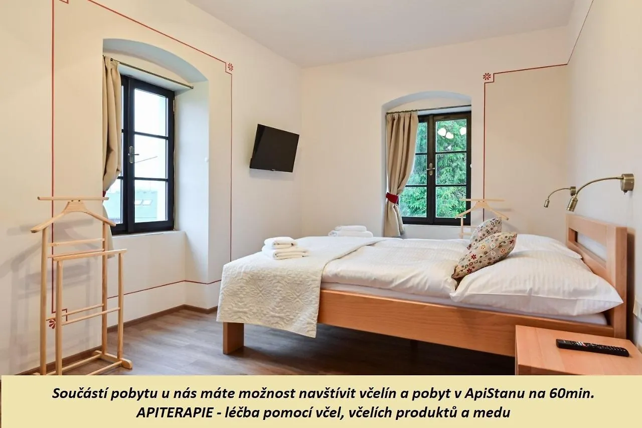 Wellness Pobyt Na Vceli Lazne - Apispa - Apiterapeut-Cz - 5 Procedur 卡罗维发利 捷克