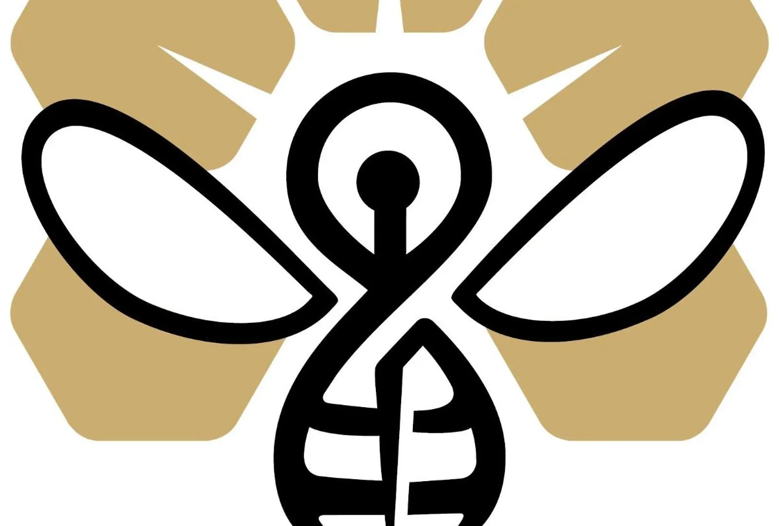 Wellness Pobyt Na Vceli Lazne - Apispa - Apiterapeut-Cz - 5 Procedur 卡罗维发利